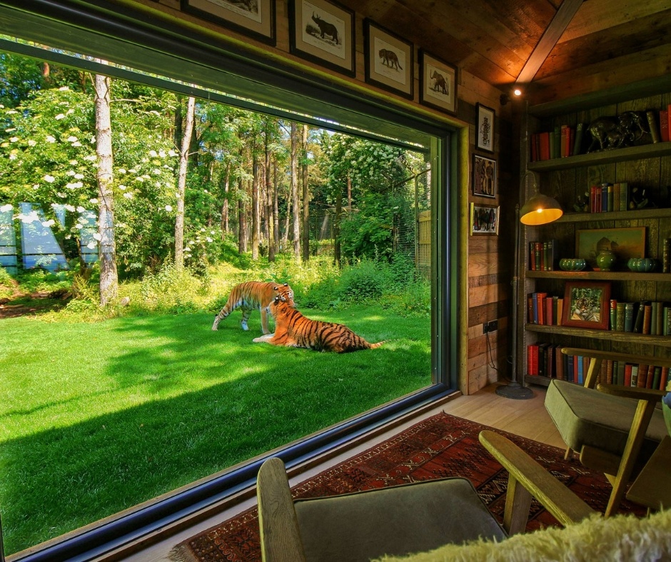 accomodation (2).jpg