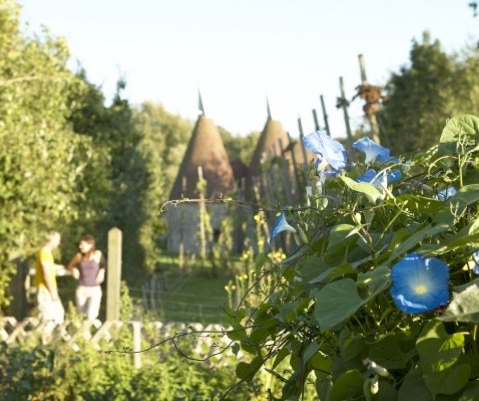 accomodation (5).jpg