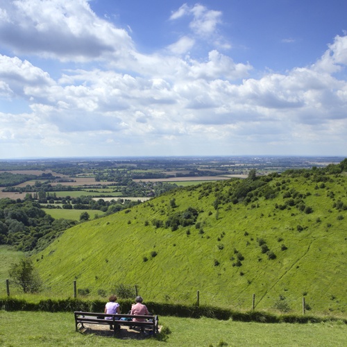Wye 500x500.jpg