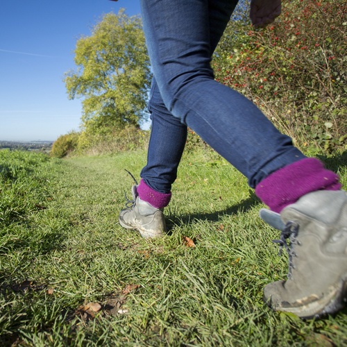 Walking 500x500.jpg