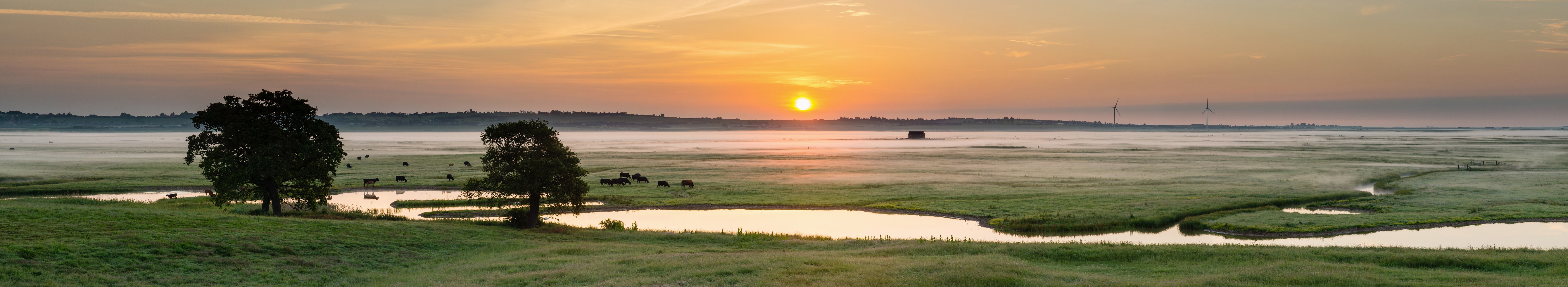 Dawn View From The Huts At Kingshill Farm
